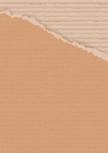 Corrugated Brown Cardboard Background With Torn Peace