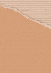 Wall Mural - Corrugated brown cardboard background with torn peace