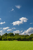 Fototapeta Na sufit - 草原と青空と雲