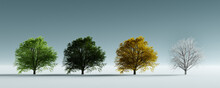 Trees In Four Seasons Of The Year - Spring, Summer, Autumn And Winter.