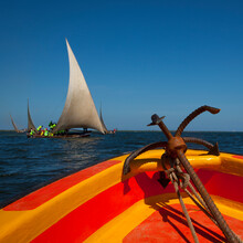 Dhow Sailing On Indian Ocean, Lamu County, Lamu, Kenya