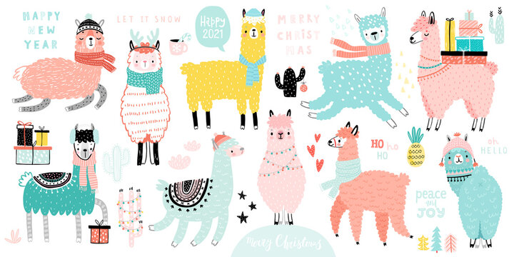 Fototapete - Christmas set with Cute Llamas celebrating Christmas eve, handwritten letterings and other elements. Funny characters. .