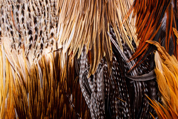 Poster - different colored feathers on a table