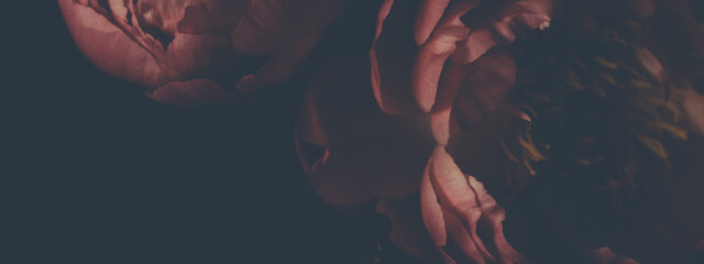 Wall Mural - dark vintage photo of bouquet of red peonies on black. floristic decoration. floral background. baro