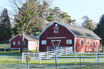 Wall Mural - Small Barn and Shed