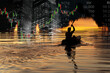 © bidala - business market stock graph and dark silhouette of man rowing kayak boat in the water lake at sunset in reach destination concept nature background