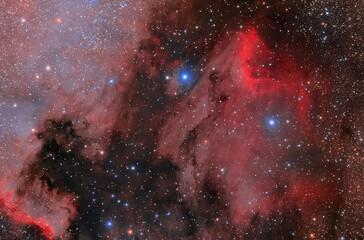 Wall Mural - space nebula, stars glow red and blue in space. long exposure astronomical photography. photo of rea
