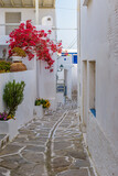 Fototapeta Uliczki - Traditional Cycladitic alley with narrow street, whitewashed houses and a blooming bougainvillea in Marpissa Paros island, Greece.
