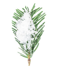 Wall Mural - Fir tree branch with a snow isolated on white background. Top view. Merry Christmas concept