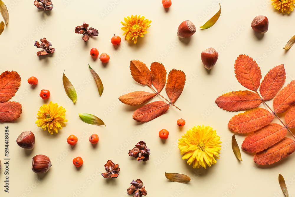 Composition with bright autumn leaves on color background