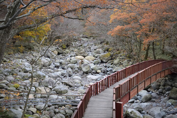 Bridge over dry riverbed near Eorimok Trail at Hallasan National Park, Jeju, Korea