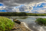 rzeka Narew