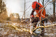 © Johnér - Lumberjack at work, Sweden