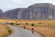 Cyclist on the road in Madagaskar