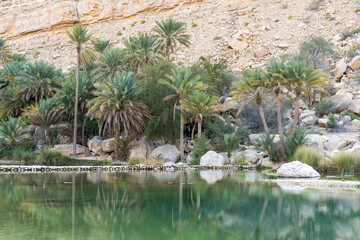 wadi bani khalid, oman