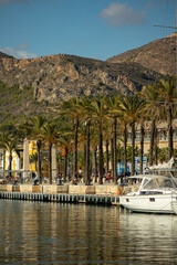 Wall Mural - boats in marina