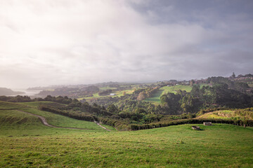 Wall Mural - Landscape of region Whitford New Zealand