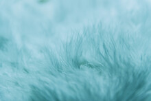 Full Frame Shot Of Fur