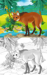 Wall Mural - cartoon scene with wild animal maned wolf in nature - illustration