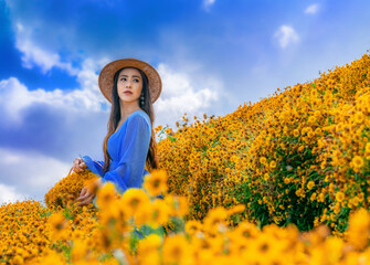 Young woman with a basket full of chrysanthemums Standing in the middle of a chrysanthemum garden in Chiang Mai, Thailand.