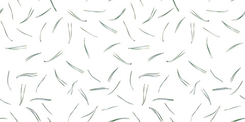 Wall Mural -  pine needles isolated on white background, seamless pattern. Christmas and New Year background.