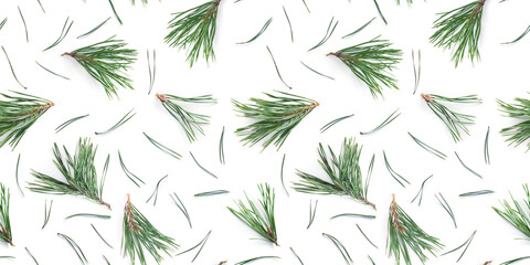 Wall Mural - Pine branches and pine needles isolated on white background, seamless pattern. Christmas and New Year background.