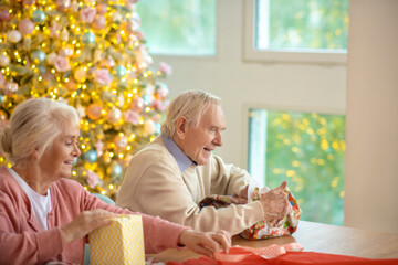 Wall Mural - Elderly couple packing christmas gifts and looking busy