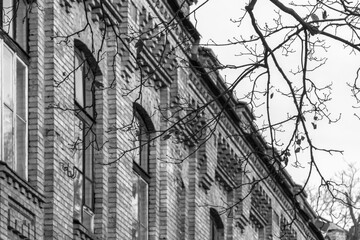 Brick building in b / w. High walls. Bare branches. University architecture. Gloomy brick house. Branches of a tree by a large window. Black dense branches in front of the window. Brick facade.