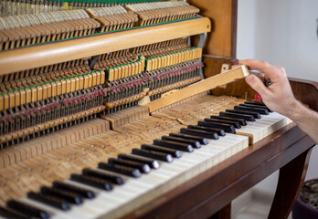 Wall Mural - swap piano key in piano, piano tuning, tuner, musical.