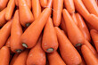 Group of orange carrot root
