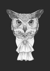 Wall Mural - Portrait of Aristocrat Owl. Hand-drawn illustration.