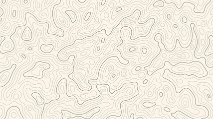 Wall Mural - topographic map patterns, topography line map. vintage outdoors style