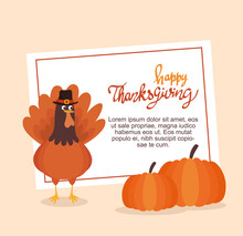 Thanksgiving Celebration Lettering Card With Pumpkins And Turkey Vector Illustration Design