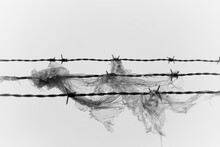 Close-up Of Barbed Wire Against Clear Sky