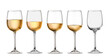 Glasses with different amount of wine on white background