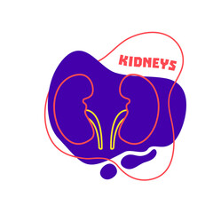 Kidneys urinary system body organ outline icon on abstract geometric splash. Human anatomy medical cartoon symbol. Vector illustration.