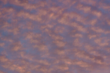 Wall Mural - cloud in the sky at sunset texture background.