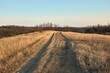 © Gudellaphoto - Dirt road in a countryside field in dry late autumn