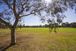 © Jodie Johnson/Austockphoto - Suburban parkland in Melbourne urban area of Elwood
