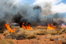 Fire Stick Burning In Arid Central Australia