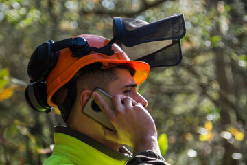 Wall Mural - Professional lumberjack in protective workwear using mobile phone