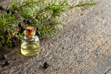 Wall Mural - A bottle of essential oil with juniper twigs, with copy space