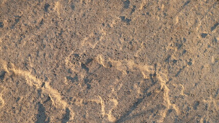 Wall Mural - unique relief of rough surface of untreated stone with bright soft illumination decorating the natural structure of the rock