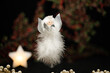 Handgearbeiteter Engel aus Federn als Weihnachtsschmuck vor  unscharfem Weihnachtshintergrund
