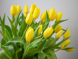 Fototapeta Tulipany - selective focus. Yellow tulips on the wooden tabel. Spring composition. Delicate yellow tulips on white background top view space for text border