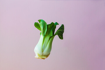 Wall Mural - Organic flying, levitating Chinese cabbage pak choi against pink background. Bio vegetables, place for text