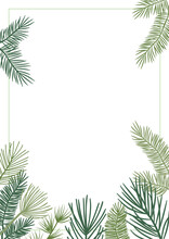 Christmas Plant Vector Border With Fir And Pine Branches, Evergreen Wreath And Corners Frames. Nature Vintage Card, Foliage Illustration