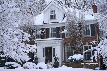 Poster - Snow covered trees in front yard of house