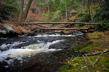 Raymondskill Creek