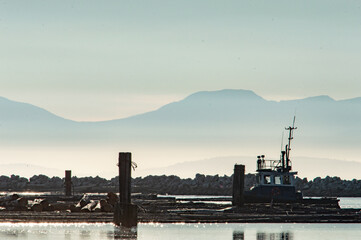 Tug boat among floating logs with mountains. 